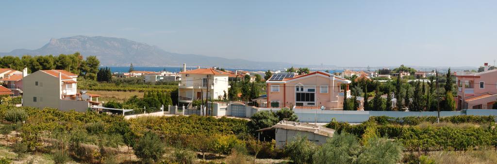 Апартаменты Kostas Family House Като-Ассос Экстерьер фото
