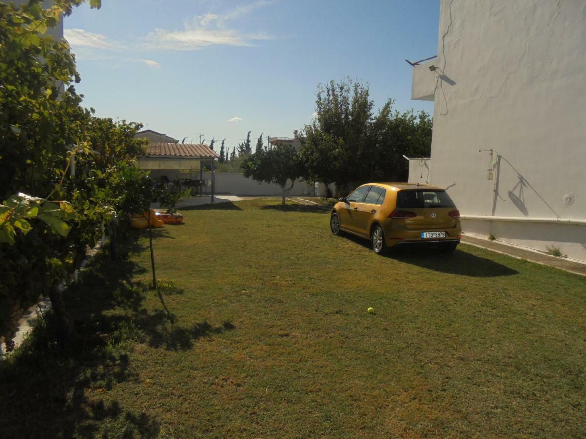Апартаменты Kostas Family House Като-Ассос Экстерьер фото